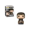 Funko Funko Pop Television: Game of Thrones - Bran Stark Collectible Figure, Multi Statues